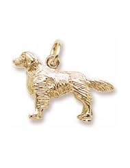 Rembrandt Charms, Golden Retriever Dog Charm, 10K Yellow Gold