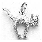 Cat Charm