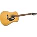 Seagull Slim Dreadnought QI EQ (Natural)