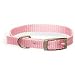 Aspen Pet 3/8 Single Ply Nylon Dog and Cat Collar
