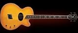 Washburn Acoustic Basses AB5K Acoustic Bass, Natural