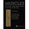 Sports Kinesiology Recommended Reading