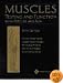 Muscles: Testing and Function, with Posture and Pain (Kendall, Muscles)