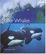 Killer Whales (Blue Planet)