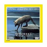 幻の白いオオカミ [DVD]