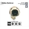 THE DOG～Golden Retriever