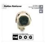 THE DOG～Golden Retriever