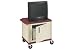 Plastic Utility Cart 2 Shelves Burgundy With Security Cabinet