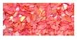 Sea Jems Acrylic 03 - Pink Glow