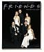 Friends Serienguide - Der groÃƒÅ¸e JubilÃƒÂ¤umsband bei Bücher zum Namen: 219YPZR7NFL._SL75_