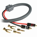 10FT 10 AWG SONICWAVE(R) SPEAKER CABLE