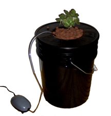 Black Bucket Deep Water Hydroponic System