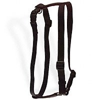 Aspen Pet 1" Single Ply Nylon Adjustable Dog Harness