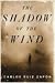 The Shadow of the Wind