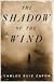 The Shadow of the Wind