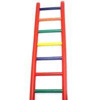 JT Industries Parrot Ladder 36 In