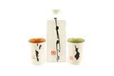 Review Teavana  / Teavana Slash Sake Set