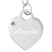 February Engraved Birthstone Heart Charm Pendant