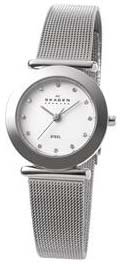 Skagen #107SSSD Women's Stainless Steel Mesh Band Watch