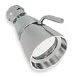 Trident 6PB87 Shower Head, Wall Mount