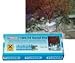 Tunze Coral Fix Epoxy (4oz) - 0104.710