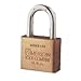 10 Blade Tumbler Security Padlock Key