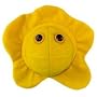 HERPES (HERPES SIMPLEX VIRUS 2) GIANT MICROBES