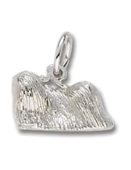 Pekingese Charm