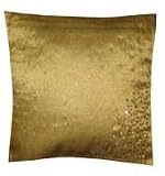 Organza Hand Embroidered Pillow Cover, Beads and Sequin Hand Embroidery. Size 16X16.