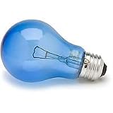 Zoo Med Daylight Blue Reptile Bulb