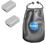 ValuePack (2 Count): Digital Replacement Battery for Specific Digital Camer ....