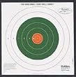 Allen Company Remington 100 Yard Bullseye Sight-In Target, 12 Pack