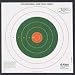 Allen Company Remington 100 Yard Bullseye Sight-In Target, 12 Pack
