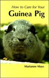 Your First Guinea Pig (Your First...series)