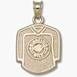 Minnesota Wild Jersey 5/8" Charm/Pendant