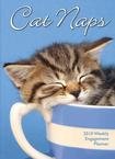 Cat Naps 2010 Softcover Engagement Calendar