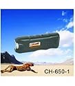 Cheetah Stun 650kv