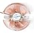Zalman CNPS7000B-Cu Copper LED CPU Cooler with Blue LED (Socket 478, 462, 939, 940)