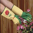 Garden Gloves 219ou 2 58L. SL160 Garden Gloves