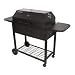 PROFESSIONAL CHARCOAL GRILL