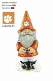 Clemson University Garden Gnome