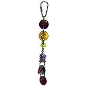 TDP S7 Rainbow Disks 8in x 1in Small Bird Toy by ABT (Bird Toys)