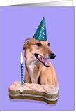 Birthday Card featuring a Greyhound Card