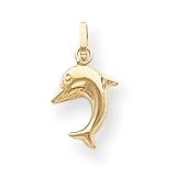 14k Dolphin Charm