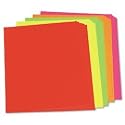 Riverside Paper 104234 Assorted Neon Color Poster Board, 22 x 28, 25 Boards/Carton