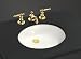 KOHLER K-2210-0 Caxton Undercounter Lavatory, White