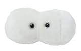 Giant Microbes Cavity