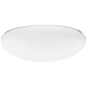 Lithonia Lighting One-Light Fluorescent Flush-Mount Ceiling Fixture, White Acrylic #FM 22... by Lithonia Lighting