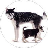 NEW-SIBERIIAN HUSKY FAMILY Fridge Magenet