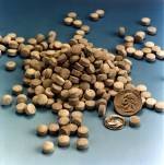 50pc Ecto Tabs - Organically Based Beneficial Mycorrhizal Fungi for Trees and Shrubs